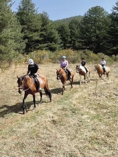 ESPLORA LA SILA CON LE GUIDE DI CAMMINASILA 1